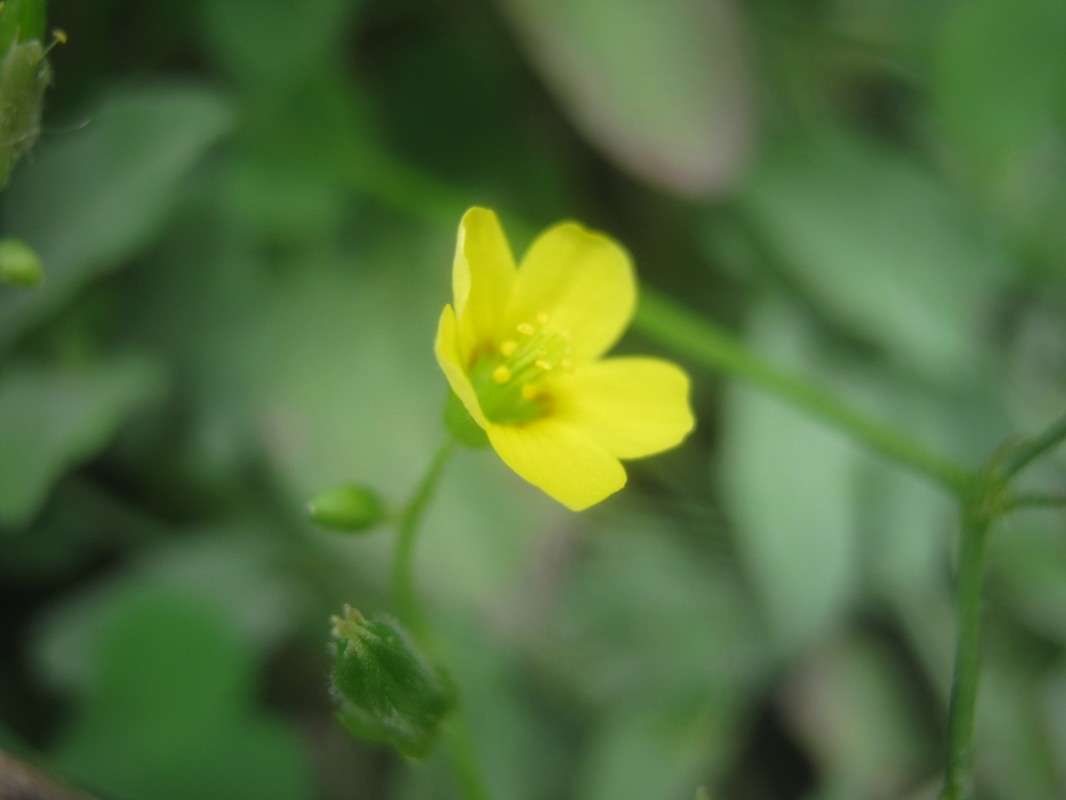 ... ����� ��������� ���������� �� PhotoGeek.ru #����� #����� ��������������