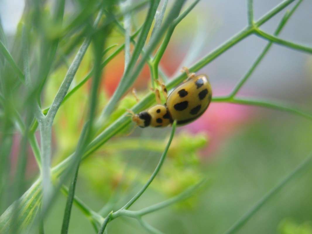 ... ����� ��������� ���������� �� PhotoGeek.ru #����� #�������� ��� #������ ��� �������