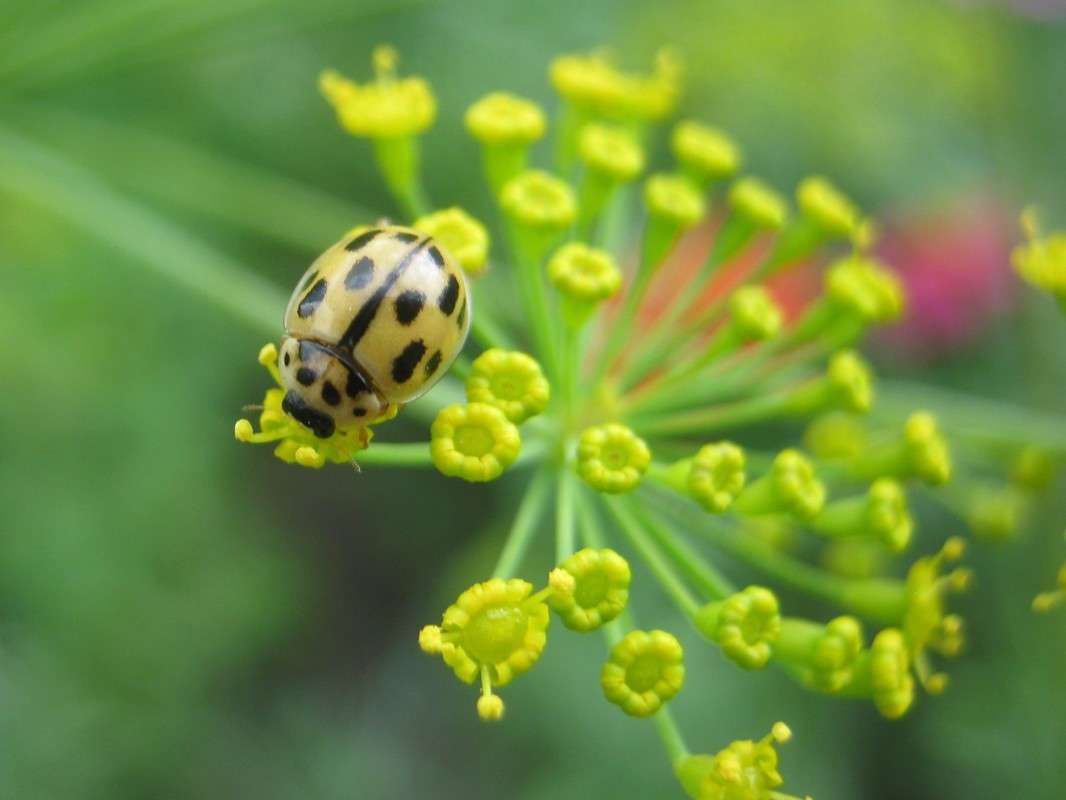 ... ����� ��������� ���������� �� PhotoGeek.ru #����� #�������� ��� #������ ��� �������