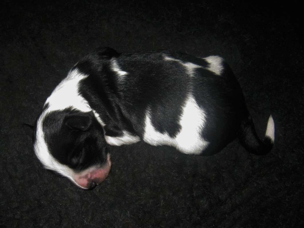 ... ����� ��������� ���������� �� PhotoGeek.ru #�������� ���