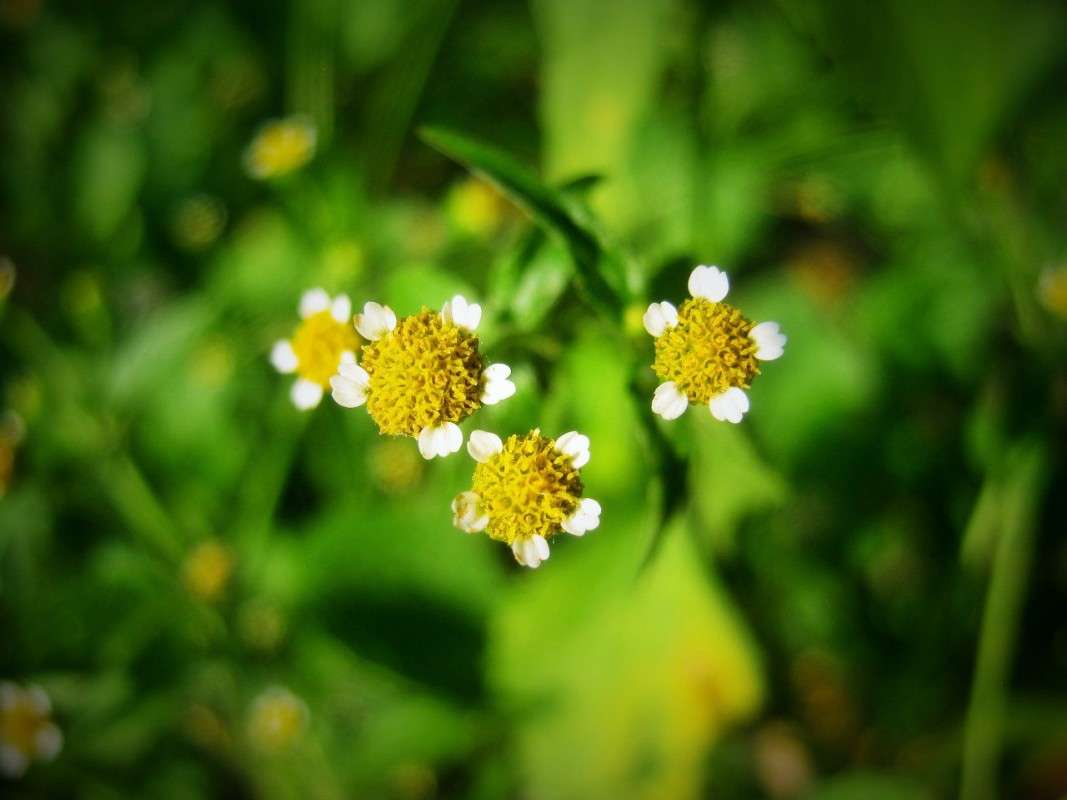 ... ����� ��������� ���������� �� PhotoGeek.ru #����� #����� ��������������