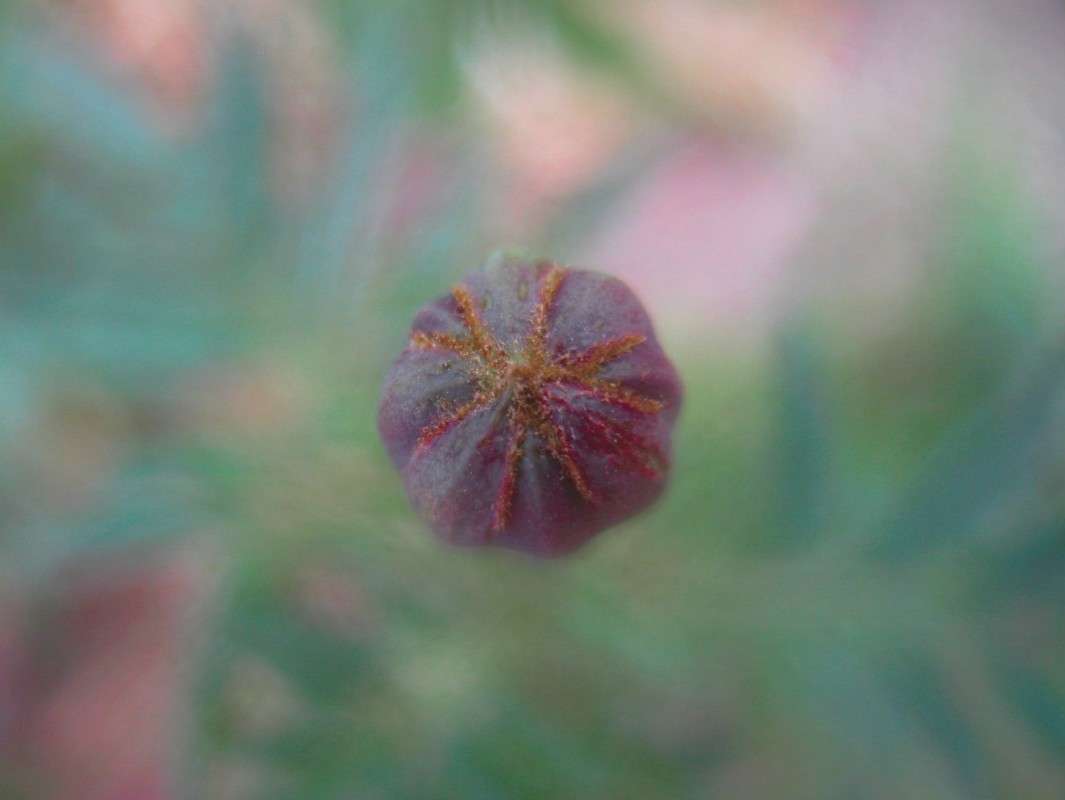 ... ����� ��������� ���������� �� PhotoGeek.ru #����� #����� ��������������