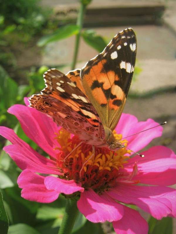 ... ����� ��������� ���������� �� PhotoGeek.ru #�������� ��� #������ ��� ������� #����� ��������������