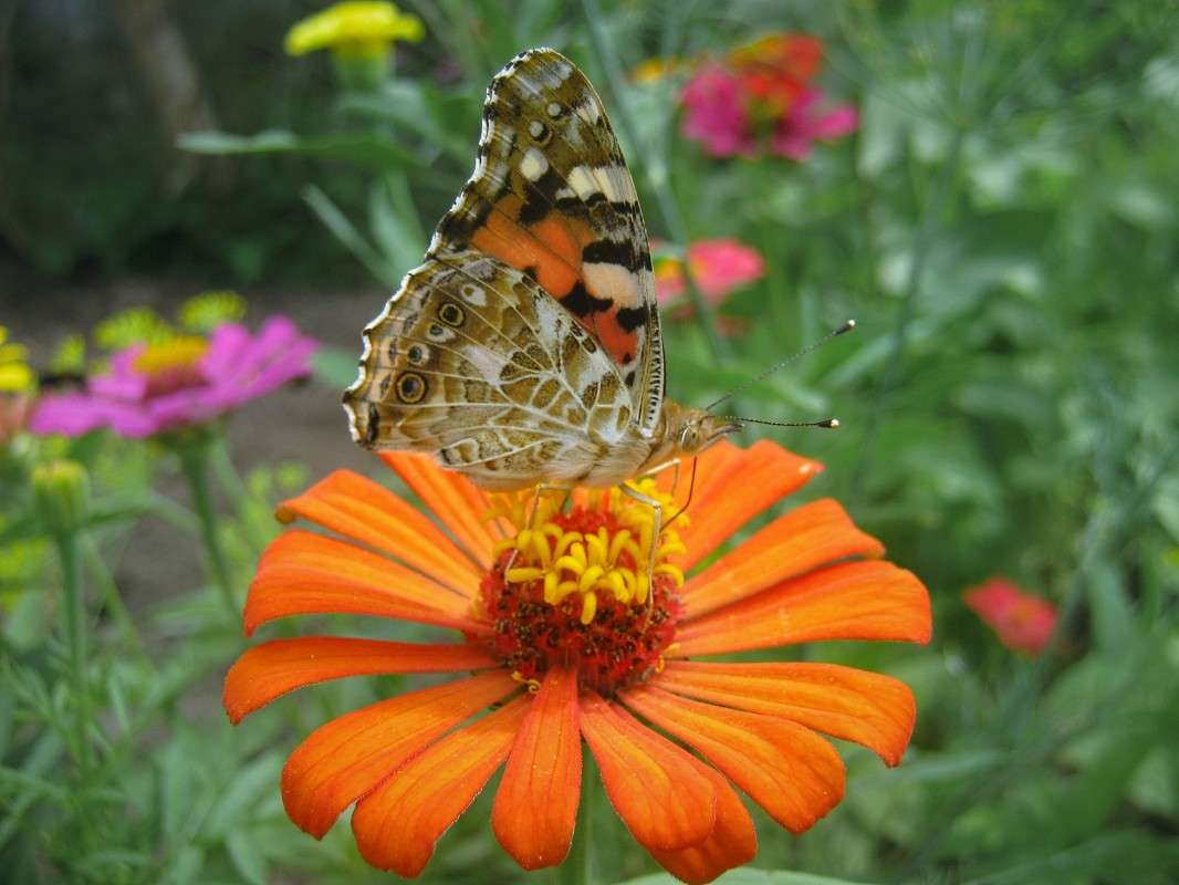 ... ����� ��������� ���������� �� PhotoGeek.ru