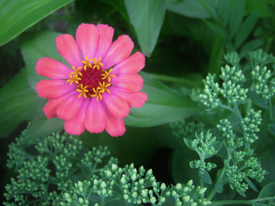 ... ����� ��������� ���������� �� PhotoGeek.ru #������ ��� ������� #����� ��������������