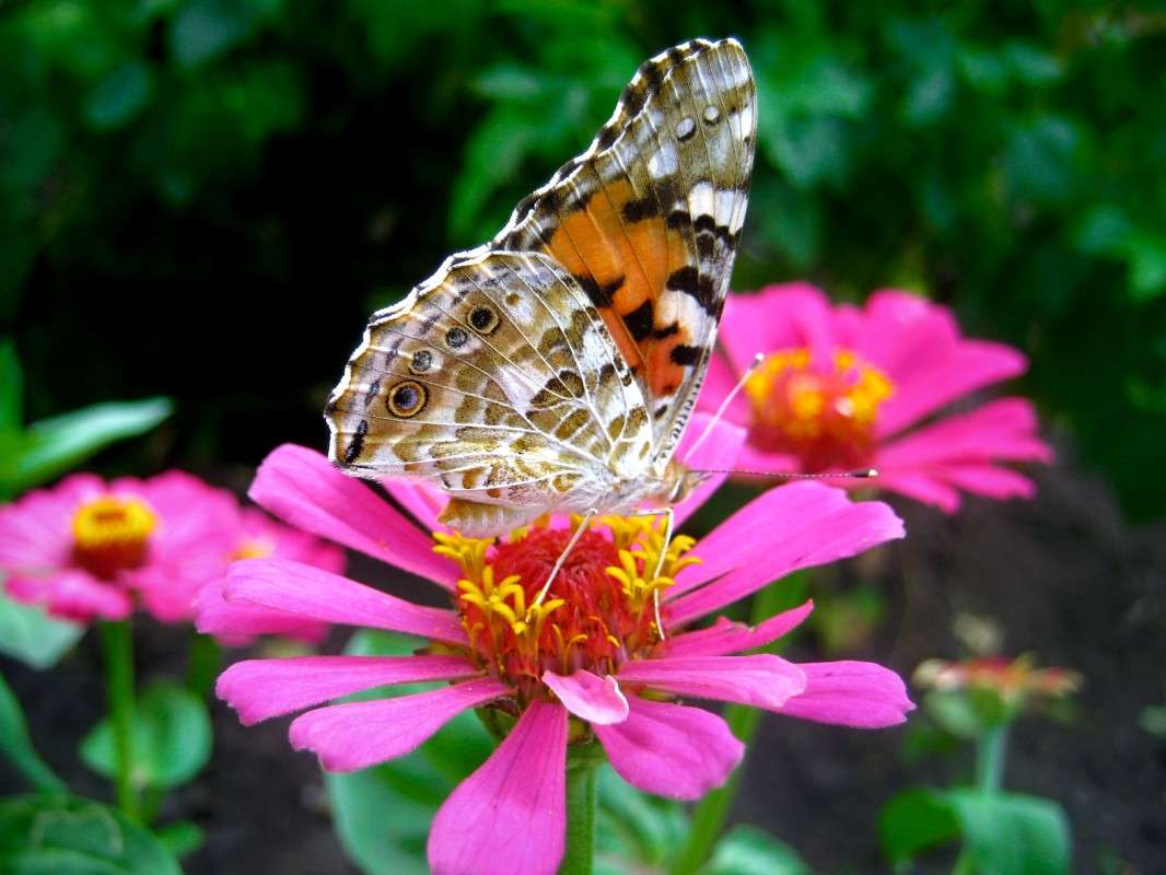 ... ����� ��������� ���������� �� PhotoGeek.ru