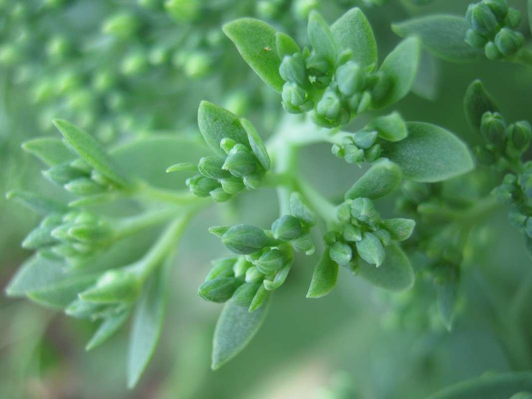 ... ����� ��������� ���������� �� PhotoGeek.ru #����� #������ ��� ������� #����� ��������������