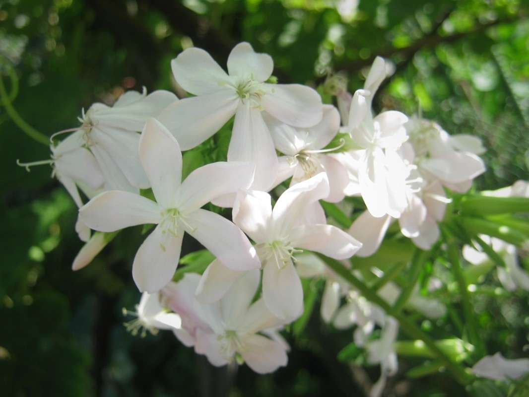 ... ����� ��������� ���������� �� PhotoGeek.ru #������ ��� ������� #����� ��������������