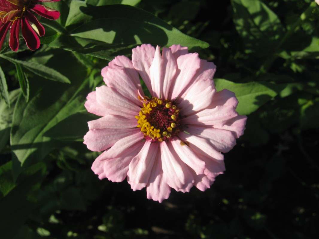 ... ����� ��������� ���������� �� PhotoGeek.ru #������ ��� ������� #����� ��������������