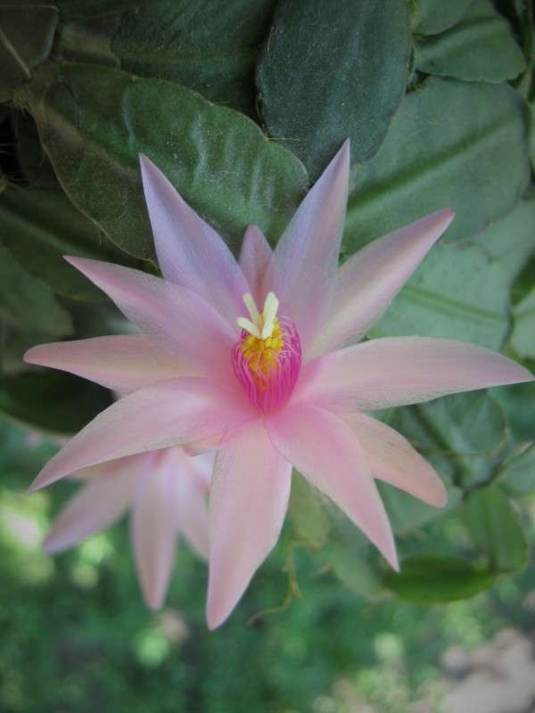 ... ����� ��������� ���������� �� PhotoGeek.ru #����� #������ ��� ������� #����� ��������������