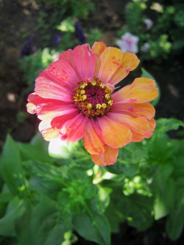 ... ����� ��������� ���������� �� PhotoGeek.ru #������ ��� ������� #����� ��������������