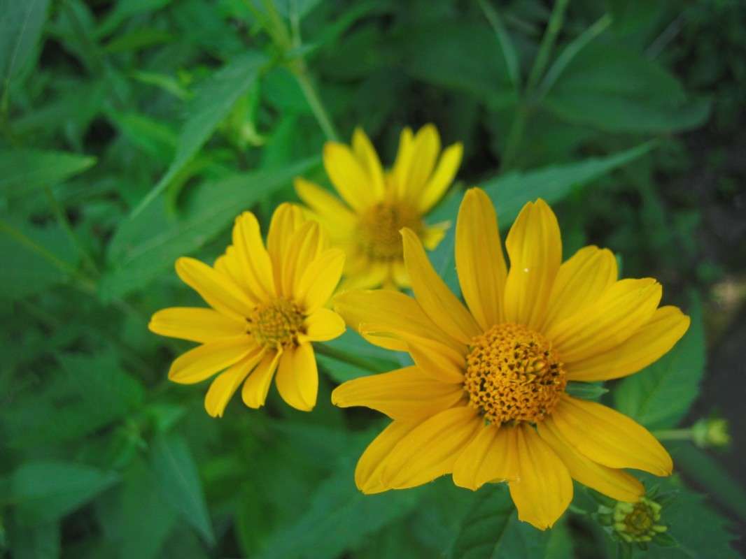 ... ����� ��������� ���������� �� PhotoGeek.ru #������ ��� ������� #����� ��������������