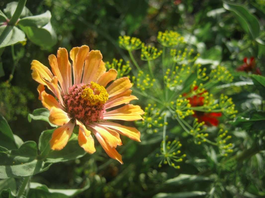 ... ����� ��������� ���������� �� PhotoGeek.ru #����� #������ ��� ������� #����� ��������������