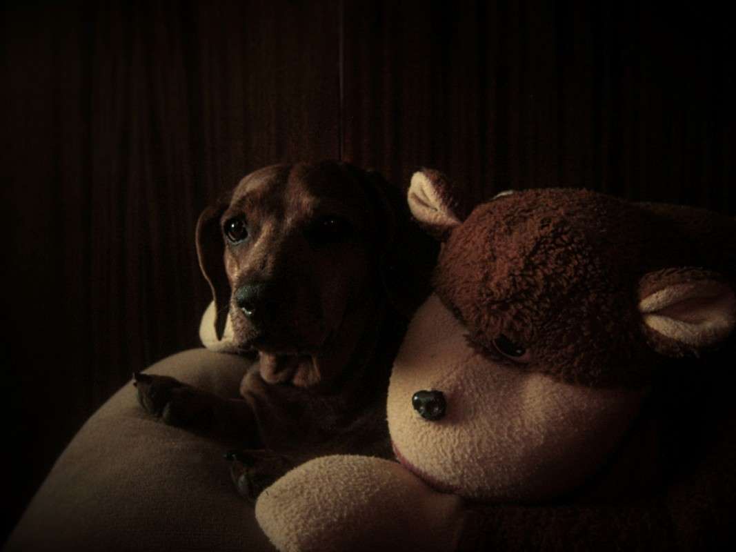 ... ����� ��������� ���������� �� PhotoGeek.ru