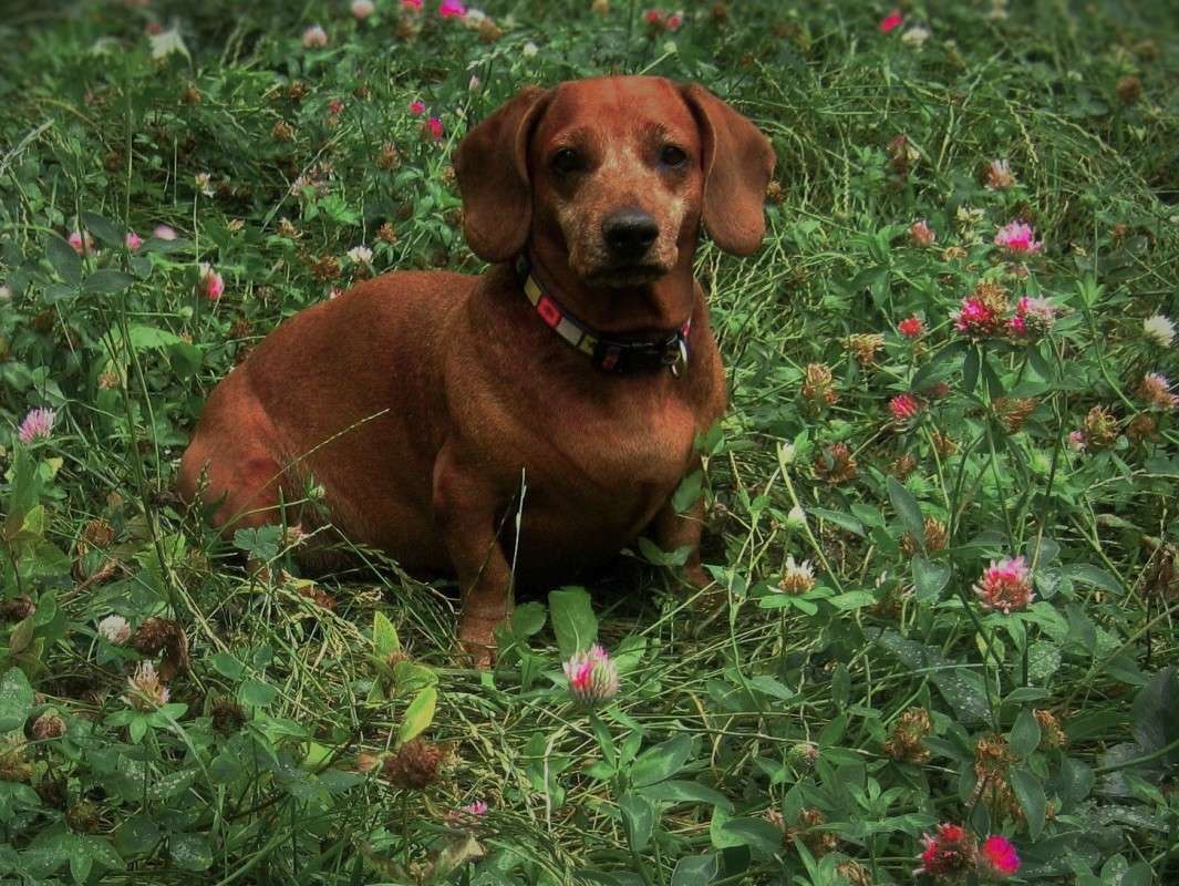 ... ����� ��������� ���������� �� PhotoGeek.ru #�������� ��� #������� #������