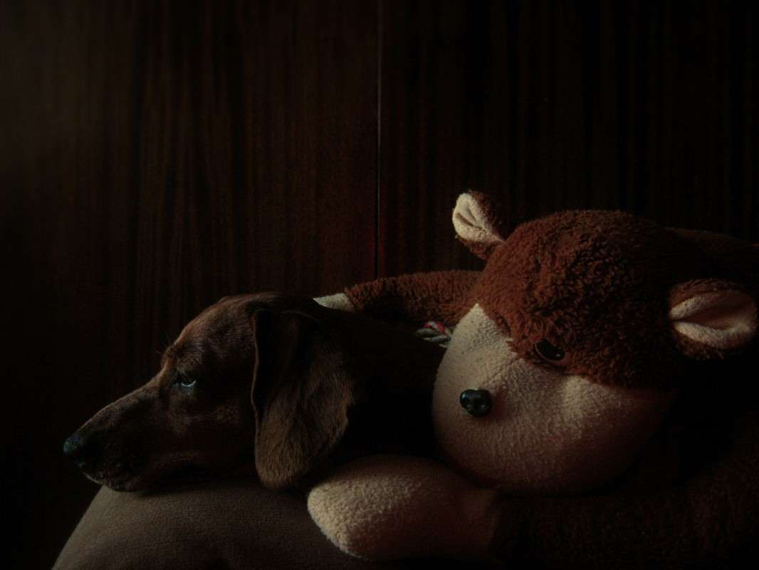 ... ����� ��������� ���������� �� PhotoGeek.ru #�������� ��� #������� #�������� ���