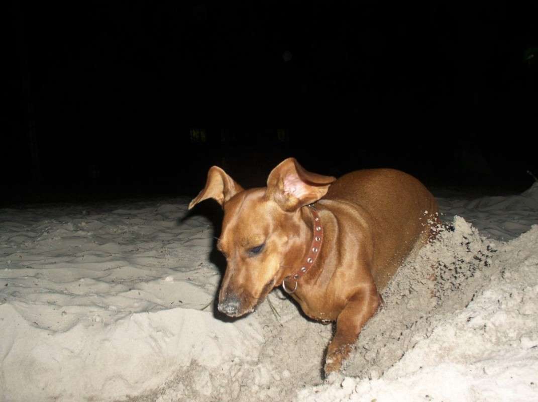 ... ����� ��������� ���������� �� PhotoGeek.ru #�������� ���