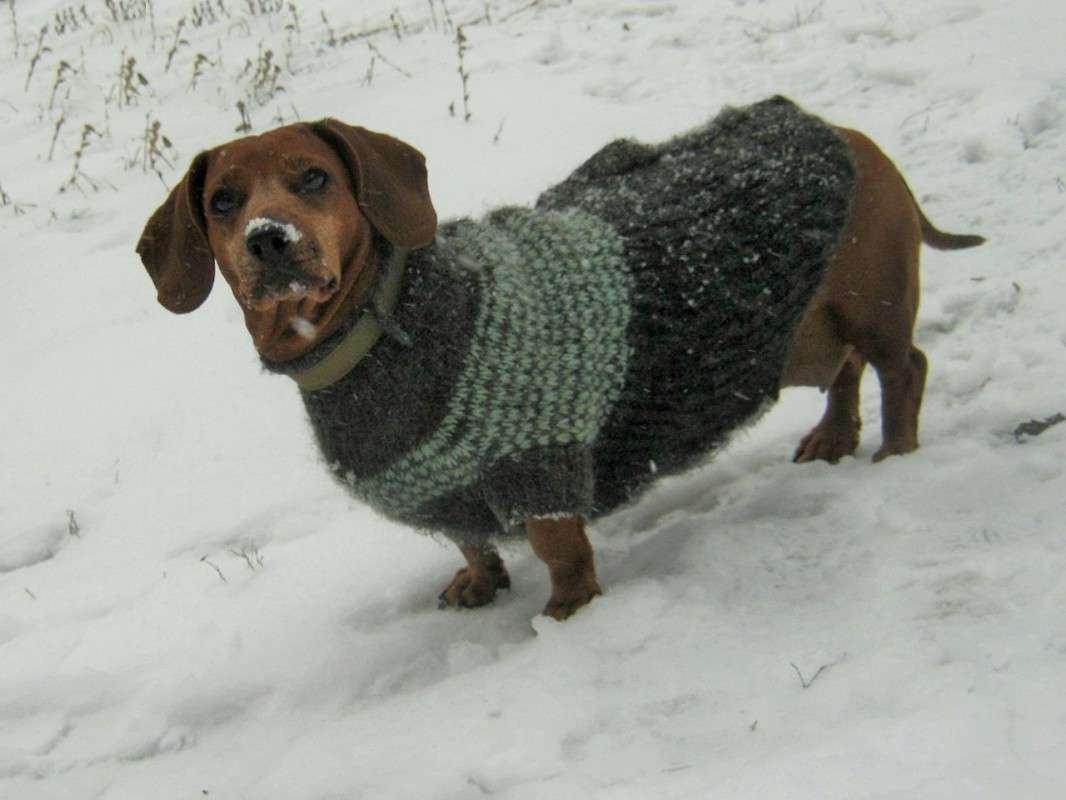 ... ����� ��������� ���������� �� PhotoGeek.ru #�������� ���