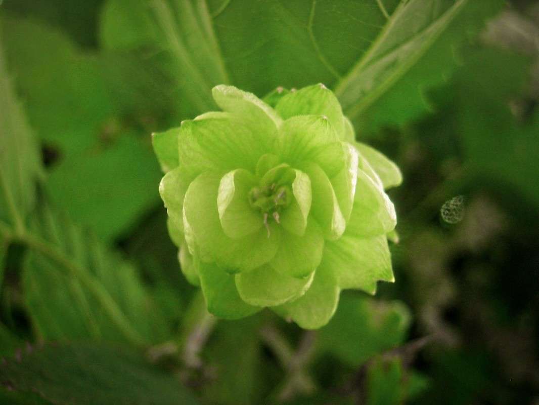 ... ����� ��������� ���������� �� PhotoGeek.ru #����� #����� ��������������