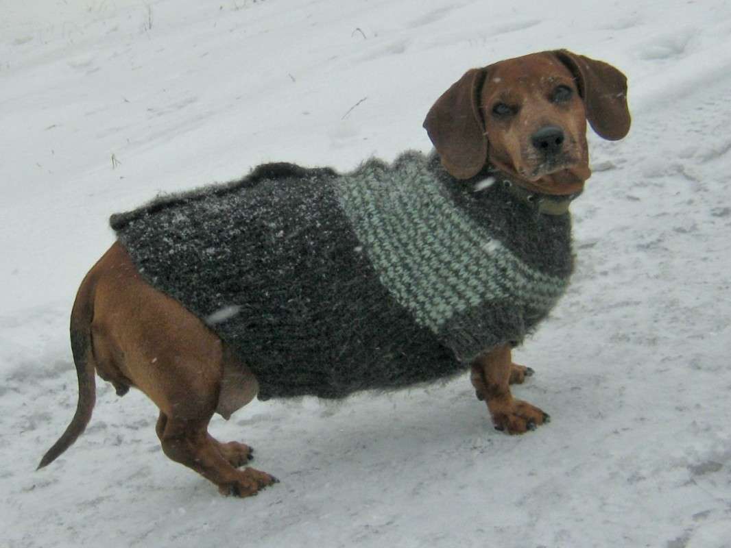 ... ����� ��������� ���������� �� PhotoGeek.ru