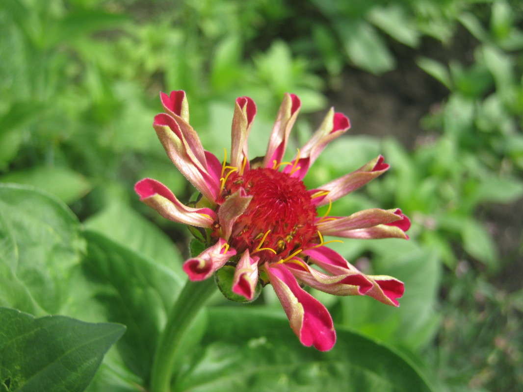 ... ����� ��������� ���������� �� PhotoGeek.ru #����� #����� ��������������