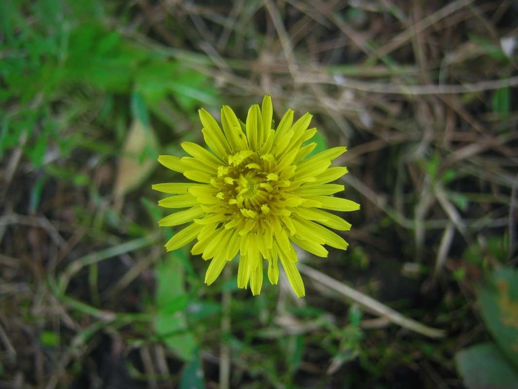 ... ����� ��������� ���������� �� PhotoGeek.ru #����� #����� ��������������