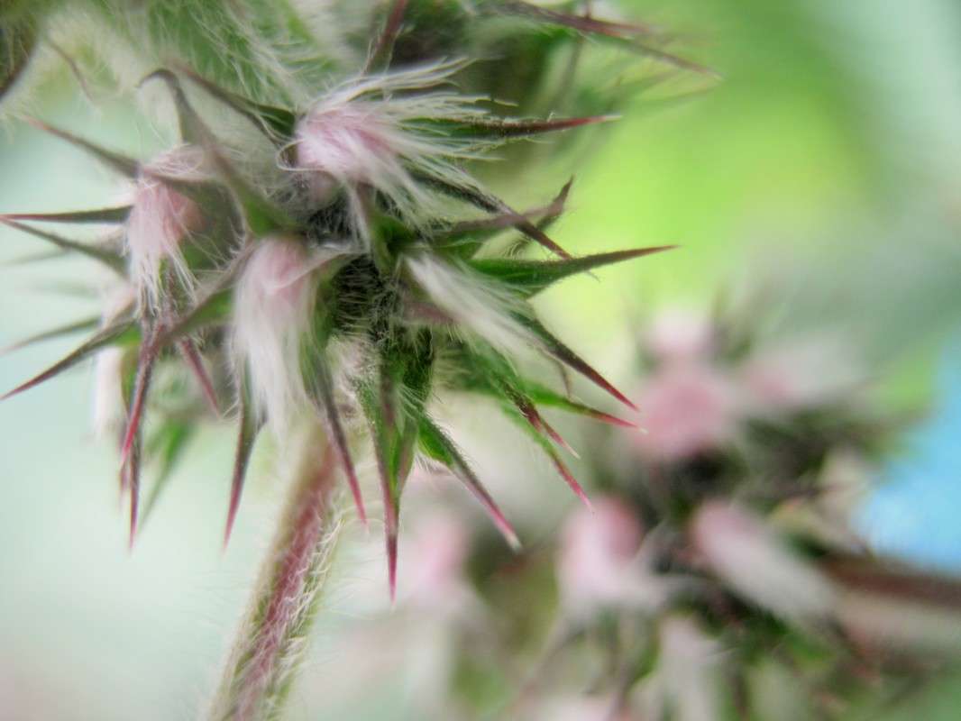 ... ����� ��������� ���������� �� PhotoGeek.ru #����� #����� ��������������