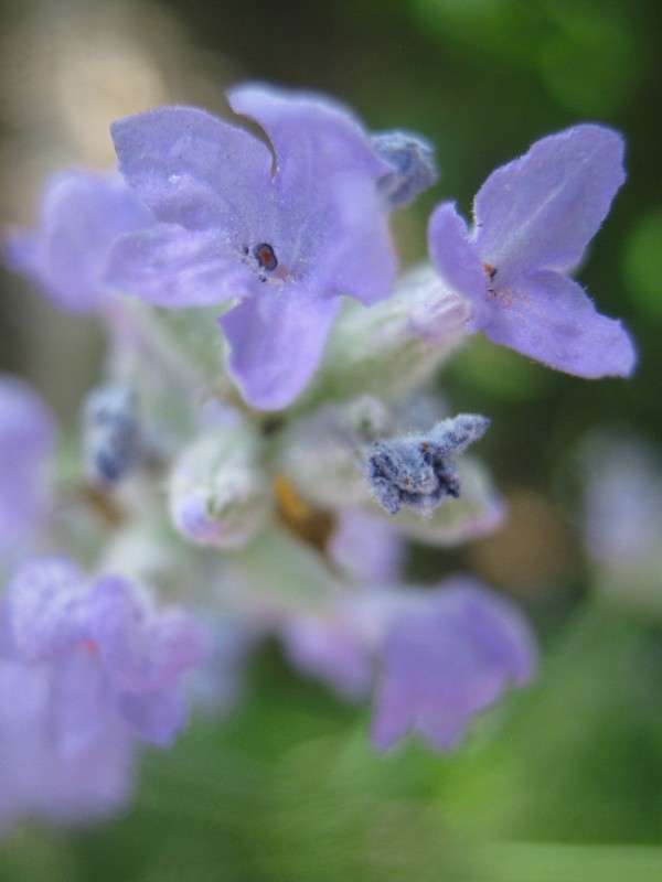 ������� ����� ��������� ���������� �� PhotoGeek.ru #����� #����� ��������������