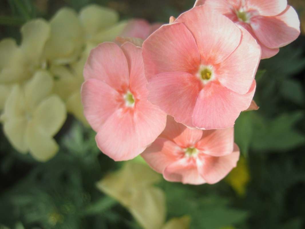 ... ����� ��������� ���������� �� PhotoGeek.ru #����� #����� ��������������