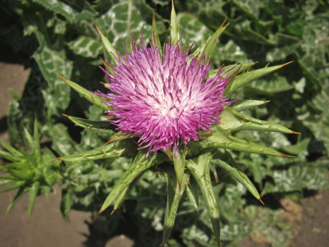 ... ����� ��������� ���������� �� PhotoGeek.ru #����� #����� ��������������