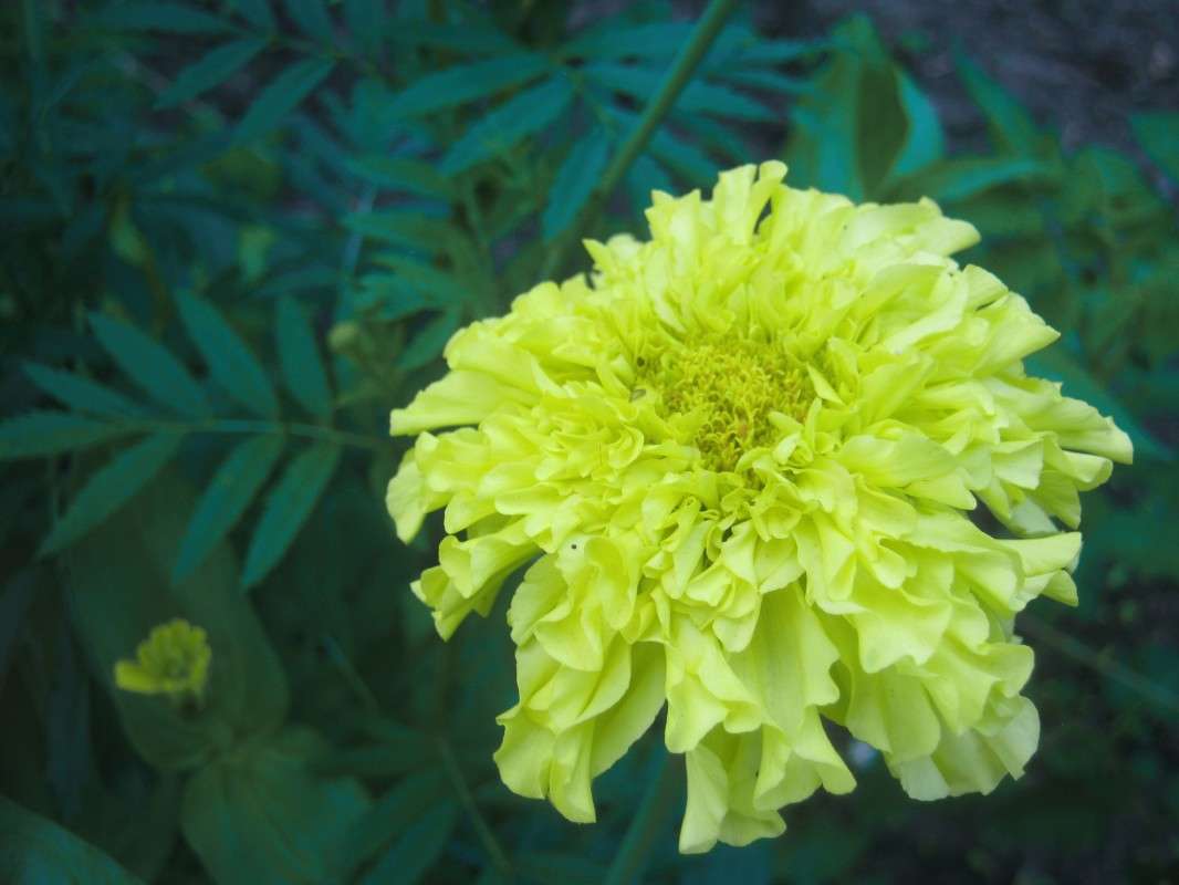 ... ����� ��������� ���������� �� PhotoGeek.ru #����� #����� ��������������