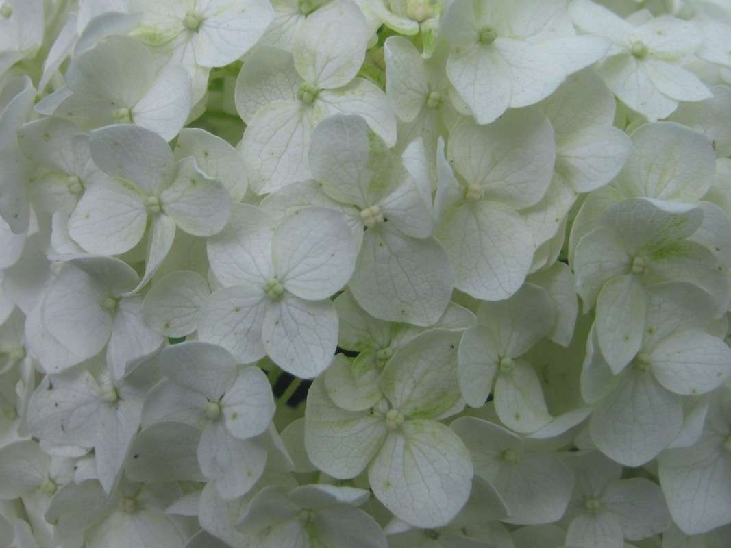 ... ����� ��������� ���������� �� PhotoGeek.ru #����� #����� ��������������