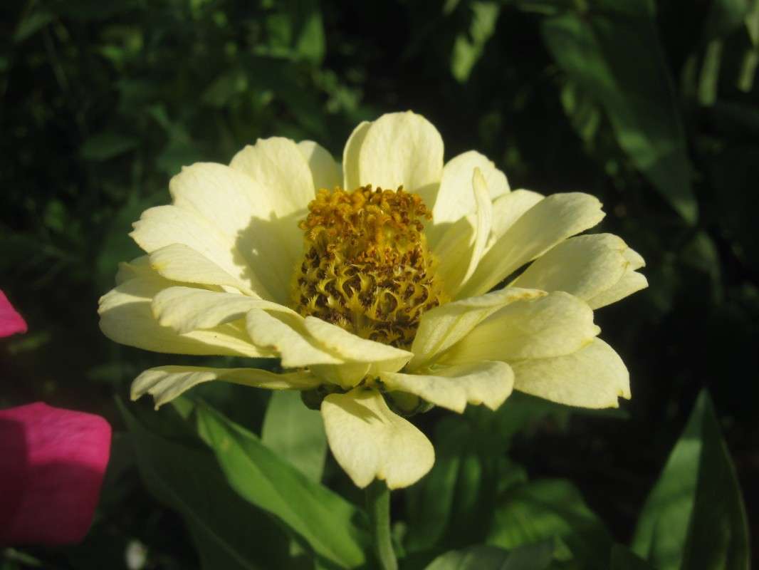 ... ����� ��������� ���������� �� PhotoGeek.ru #����� #����� ��������������