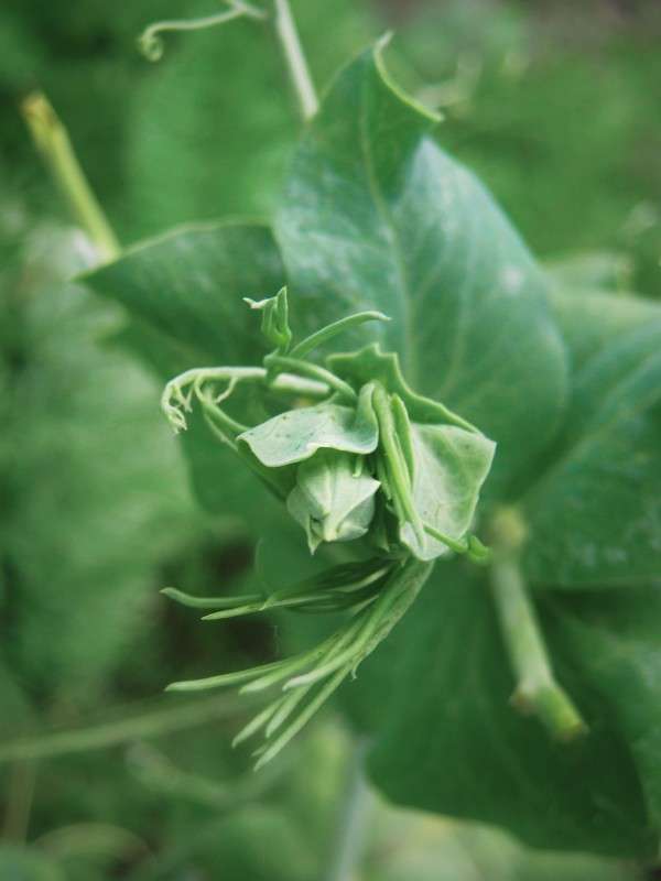 ... ����� ��������� ���������� �� PhotoGeek.ru #����� #����� ��������������