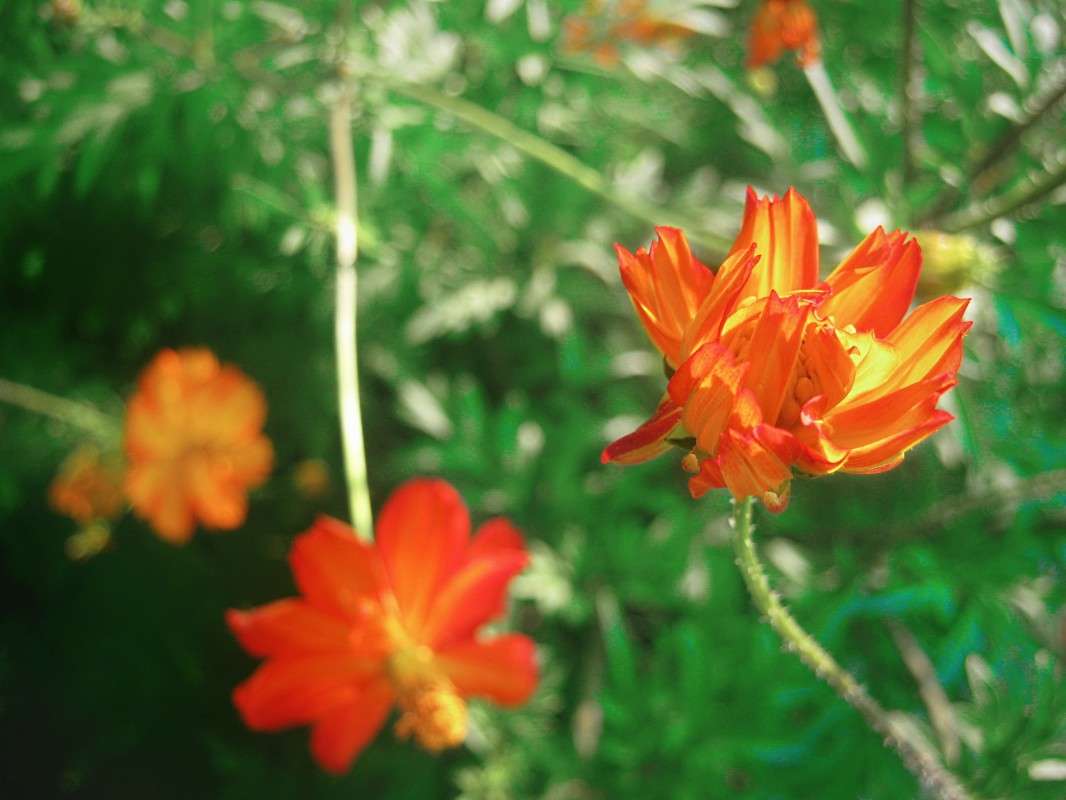 ... ����� ��������� ���������� �� PhotoGeek.ru #����� #����� ��������������