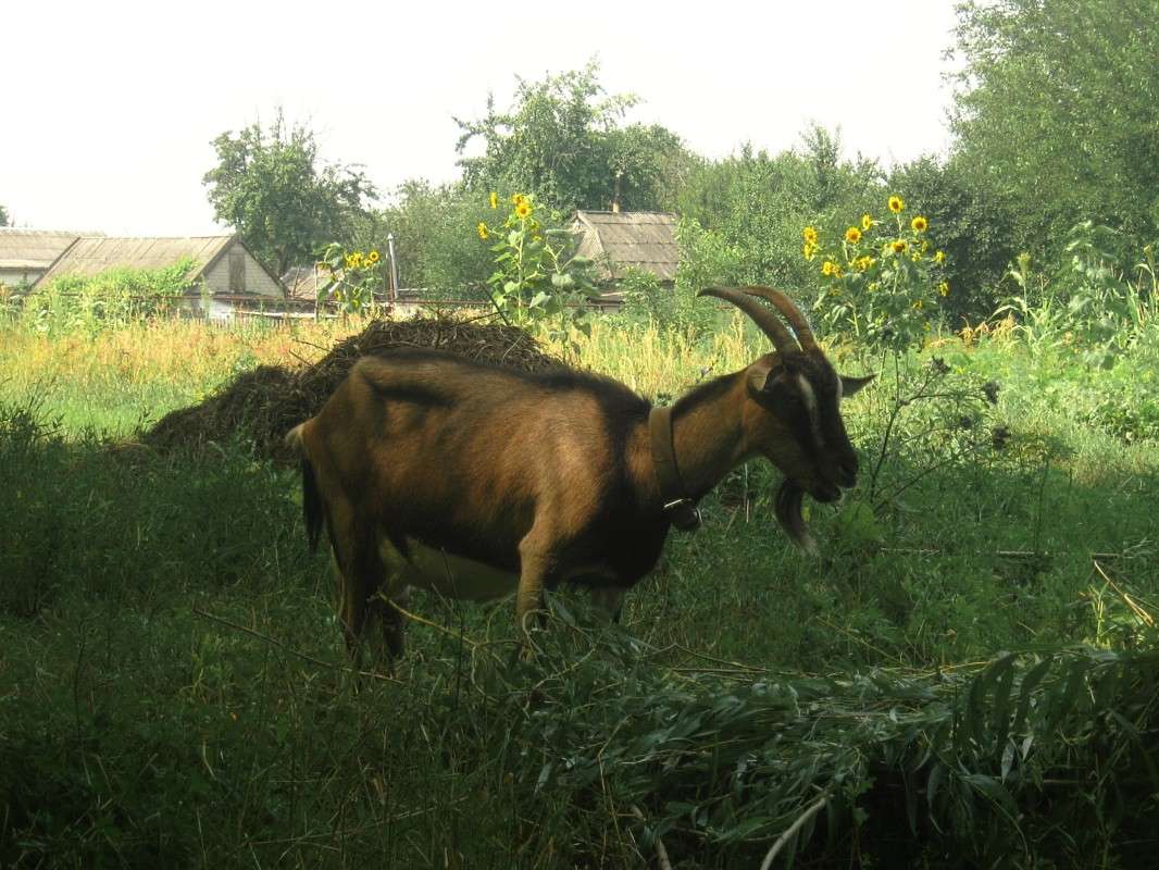 ... ����� ��������� ���������� �� PhotoGeek.ru #�������� ��� #������ ��� �������