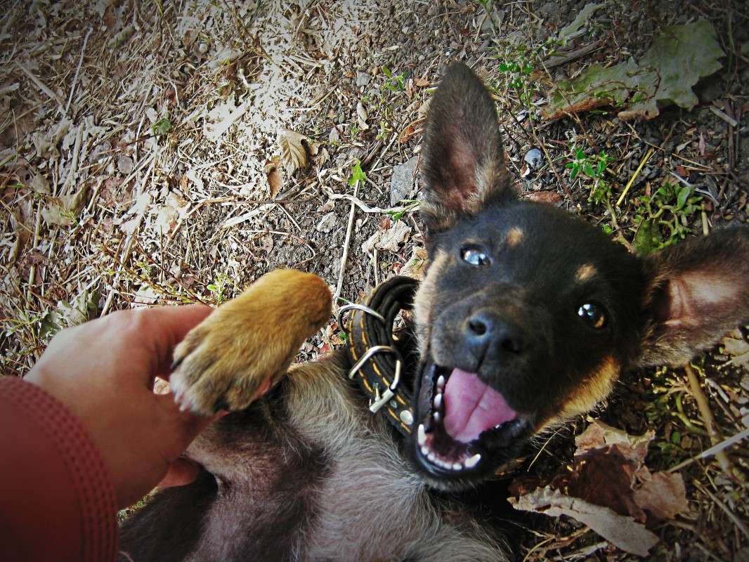 ... ����� ��������� ���������� �� PhotoGeek.ru #�������� ���