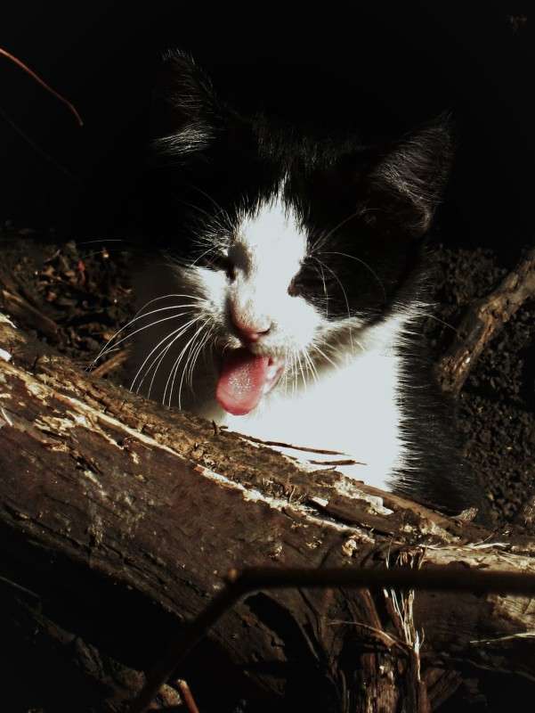 ... ����� ��������� ���������� �� PhotoGeek.ru #�������� ���