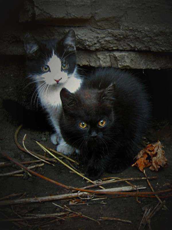 ... ����� ��������� ���������� �� PhotoGeek.ru #�������� ���