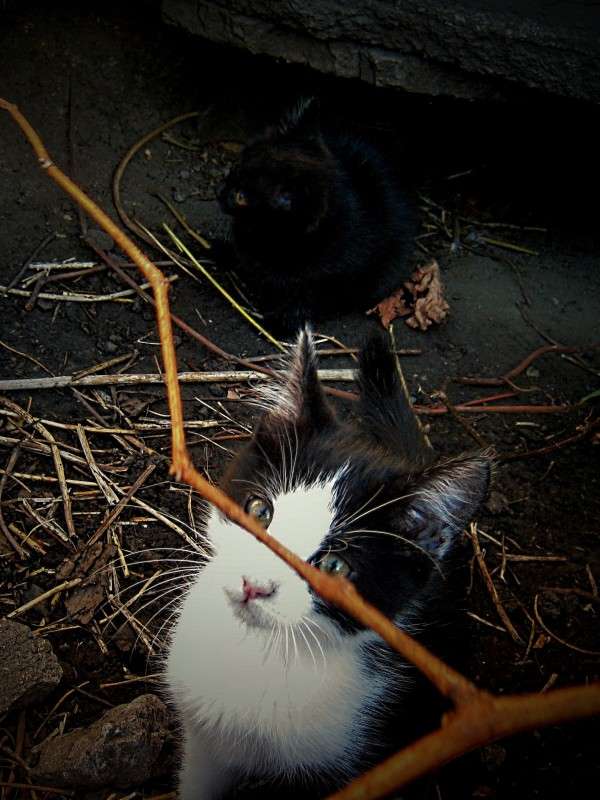 ... ����� ��������� ���������� �� PhotoGeek.ru #�������� ���