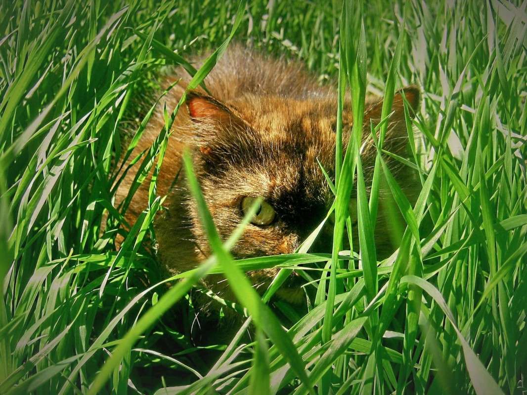 ... ����� ��������� ���������� �� PhotoGeek.ru #�������� ���