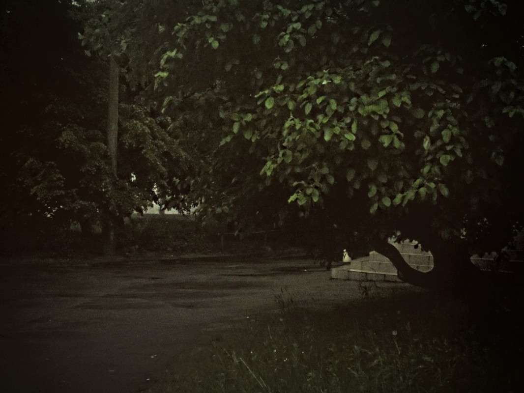 ... ����� ��������� ���������� �� PhotoGeek.ru #����� #������ ��� ������� #��������� ������