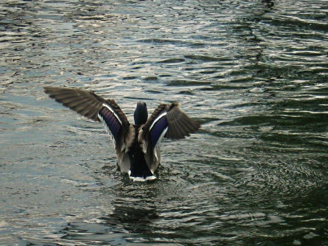 ... ����� ��������� ���������� �� PhotoGeek.ru #�������� ��� #����� ��� ��� ���������