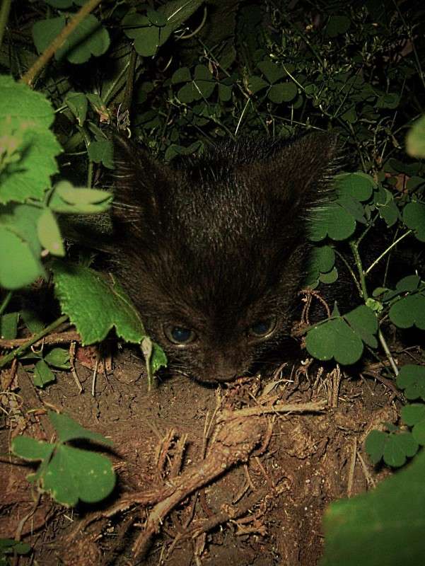 ... ����� ��������� ���������� �� PhotoGeek.ru #�������� ���