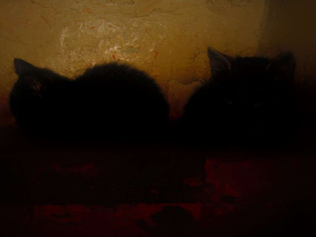 ... ����� ��������� ���������� �� PhotoGeek.ru #�������� ���