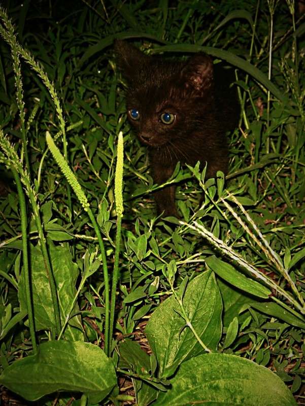 ... ����� ��������� ���������� �� PhotoGeek.ru #�������� ���