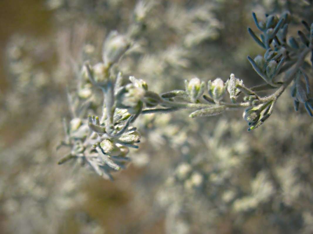 ... ����� ��������� ���������� �� PhotoGeek.ru #����� #����� ��������������