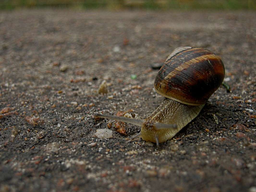 ... ����� ��������� ���������� �� PhotoGeek.ru #����� #�������� ���