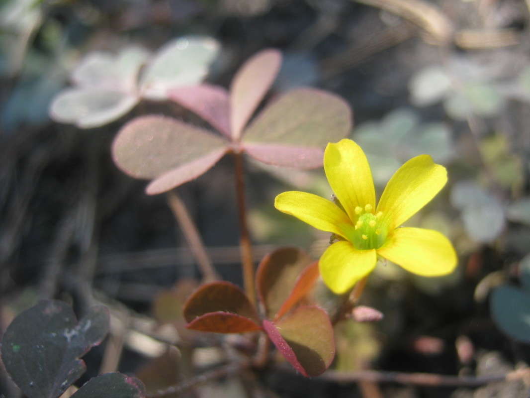 ... ����� ��������� ���������� �� PhotoGeek.ru #����� #����� ��������������