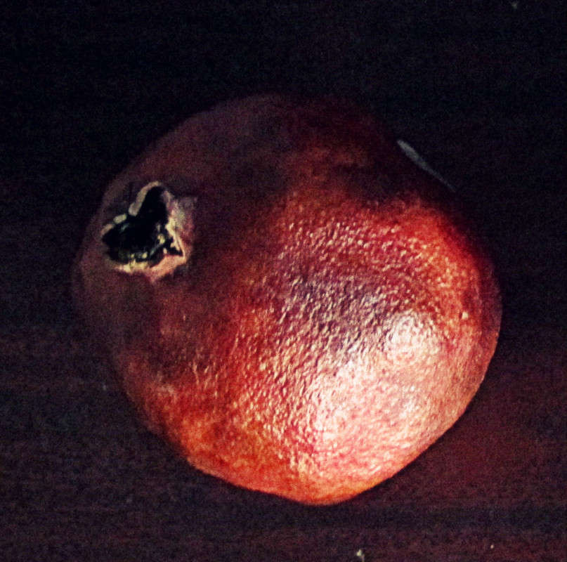 ... ����� Maru  �� PhotoGeek.ru #���������